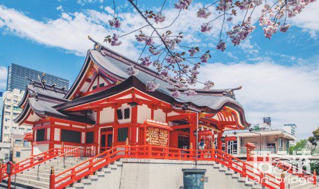 日語翻譯價格收費(fèi)標(biāo)準(zhǔn)